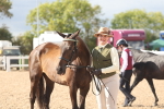 SBM_06881