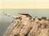Isle of Wight Needles 9