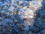 SPOTLIGHT - GEORGIAN BAY