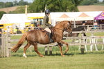 SBM_09768