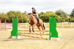 SBM_004905
