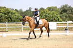 SBM_003988