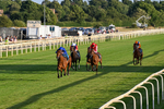 240726-Race 5-Diamond Rain-0517