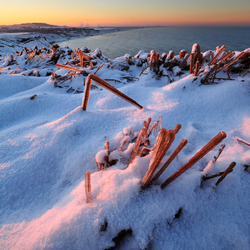 Saltburn By The Sea portfolio