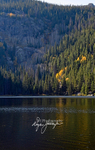 3HPhotography10-6-24_RMNP_0047_