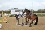 SBM_000382
