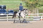 BPP_8269