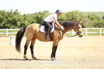 SBM_007823