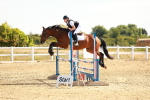 SBM_002537
