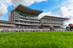 260823-Race 3-Kinross-1590