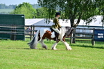 SBM_11589