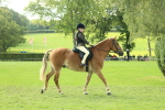SBM_62381