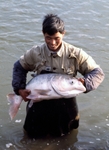 Fish farmer