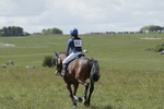 BVHT 140517  IXC -101