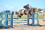 Section R - Open Novice portfolio
