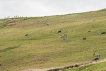 Latterbarrow-109