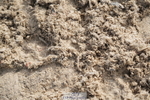 250613A-081202-00905