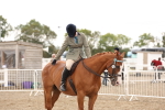 SBM_02925