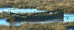 Planted boat