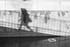 Chasing Shadows 03