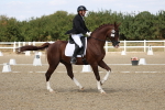 SBM_022099