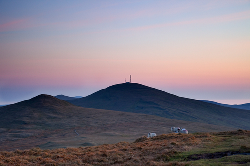 Lovely soft April evening light on the descent from the top of North Barrule back towards Snaefell. In my opinion the…
