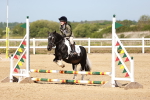 SBM_006915