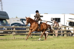 Class 73-74 - LIHS BSHA Open Style & Performance portfolio