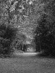 Image 10 (b&w)