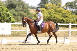 SBM_003732