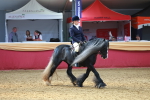 SBM_20524