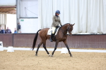SBM_003453