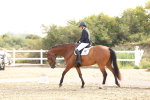SBM_005216