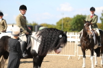 SBM_03223