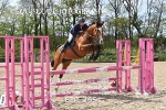 BPP_2654