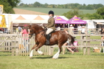 SBM_09587
