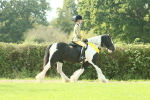 SBM_68991