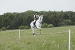 BVHT 140517  NXC -155