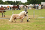 SBM_03493