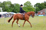 SBM_02706