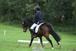 Rider 490 to 499 portfolio