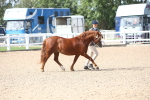 SBM_18963