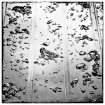 theme 8 week 4: WATER