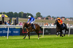 Race 1 18.30pm Napoleons Casino Hull Dine In Style From £35 EBF Novice Stakes portfolio