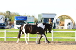SBM_07940