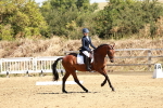 SBM_001515