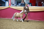 SBM_16022