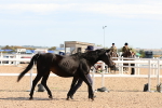 SBM_17690
