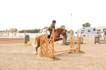 SBM_06786