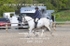 BPP_5519